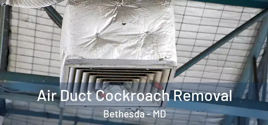 Air Duct Cockroach Removal Bethesda - MD