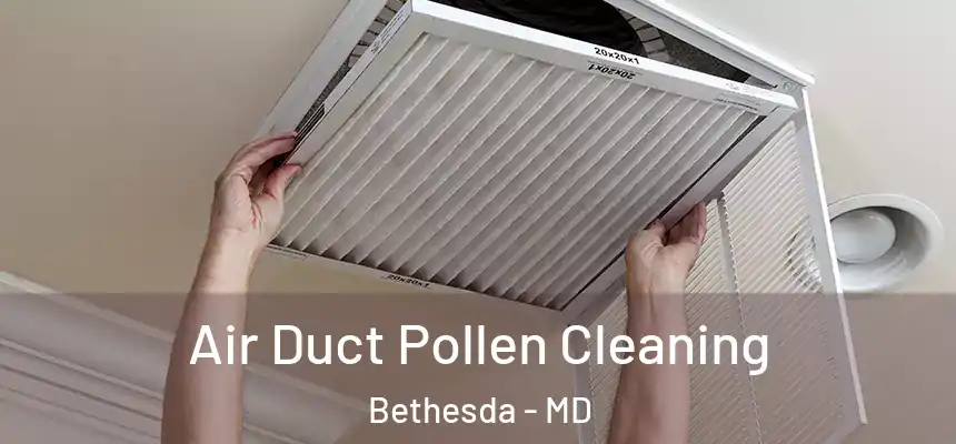 Air Duct Pollen Cleaning Bethesda - MD