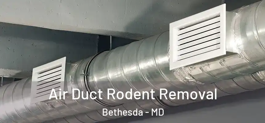  Air Duct Rodent Removal Bethesda - MD