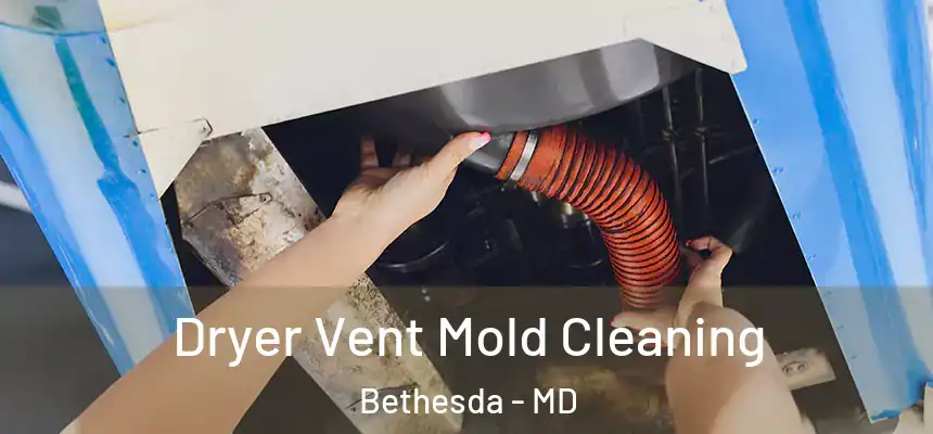 Dryer Vent Mold Cleaning Bethesda - MD
