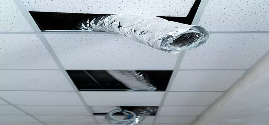 Our Air Duct Pet Hair Removal Services in Bethesda, MD