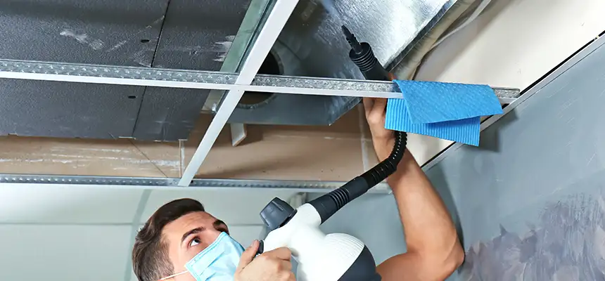 Our Air Duct Rodent Removal Services in Bethesda, MD