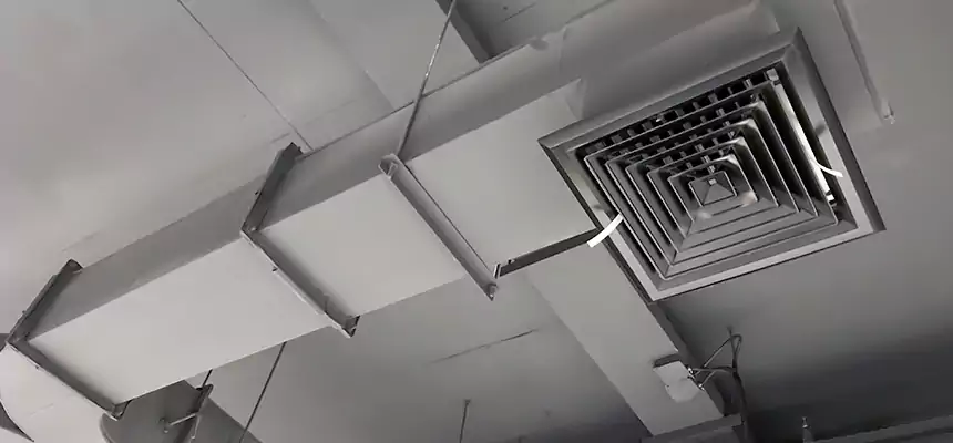 Restorative Allergy Relief Vent Cleaning – Coil, Blower & Housing Detail in Bethesda