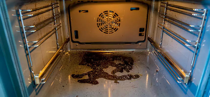 Our Dryer Vent Mold Cleaning Services in Bethesda, MD