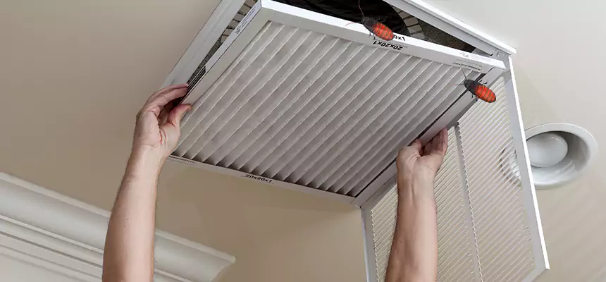 Our Insect Removal from Air Ducts Services in Bethesda, MD