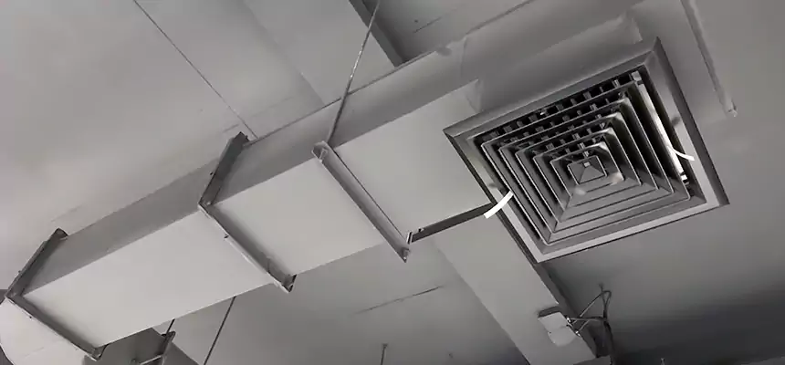 Our Pest Removal From Ducts Services in Bethesda, MD