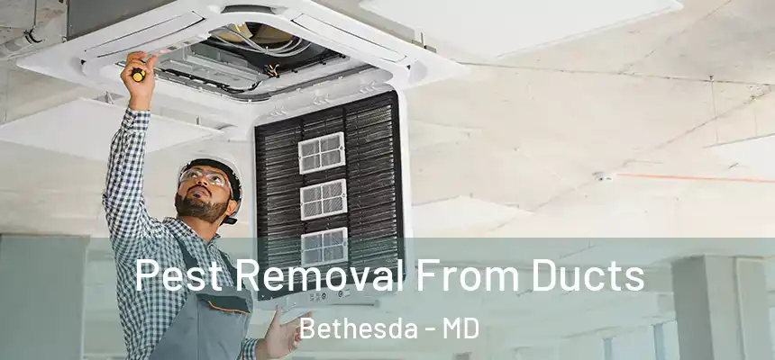 Pest Removal From Ducts Bethesda - MD