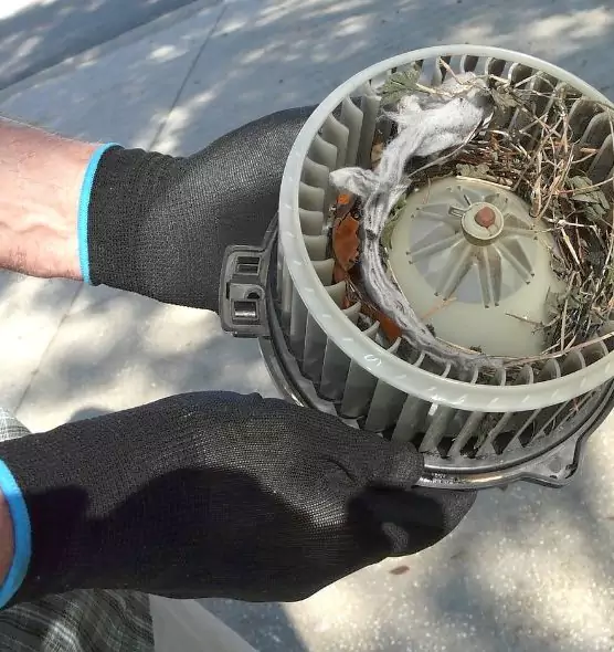 About Air Duct Mice Removal in Bethesda, MD