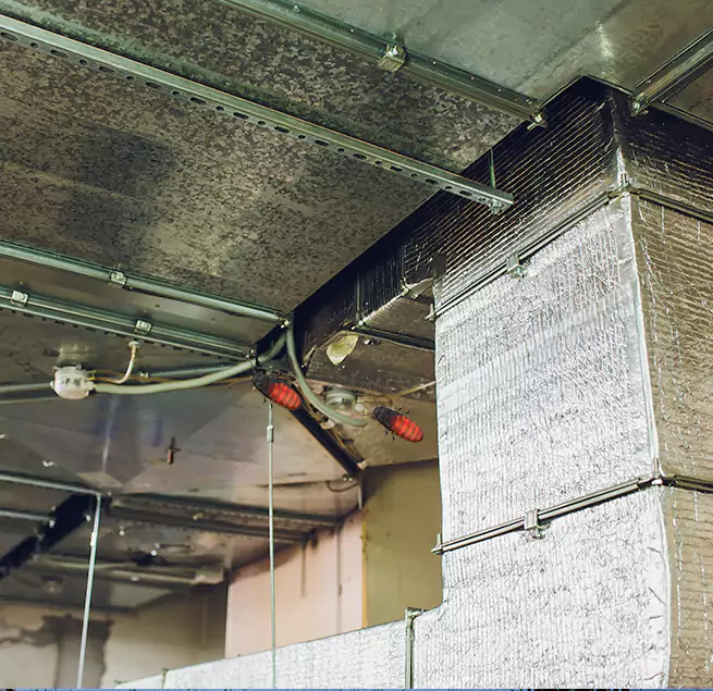 Why Homeowners & Businesses Trust Us in Bethesda, MD?